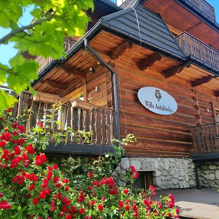 Willa Antałówka Zakopane Exterior foto